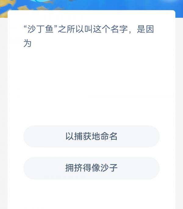 1675300126422.jpg