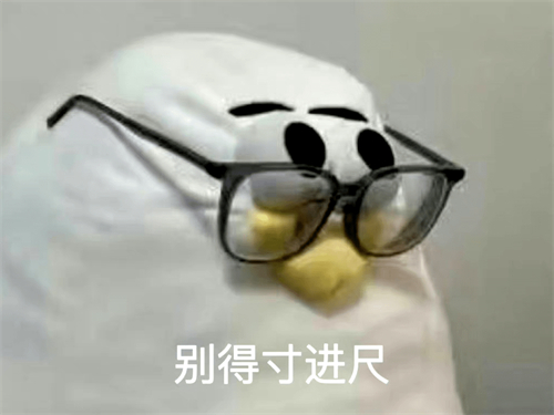 马兆海鸥是什么梗