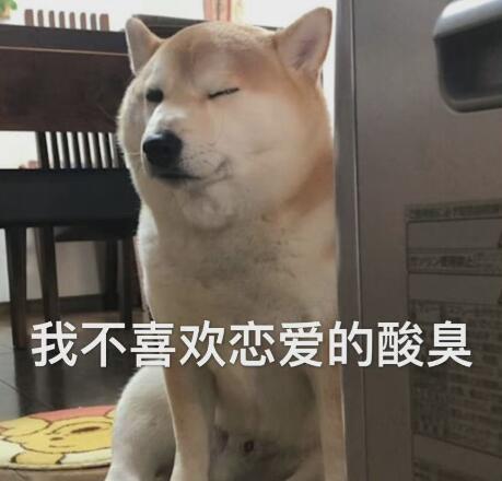 1676353531737.jpg