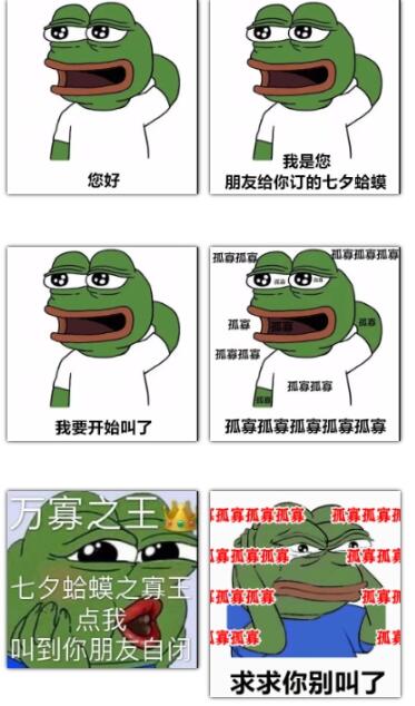 1676353532148.jpg