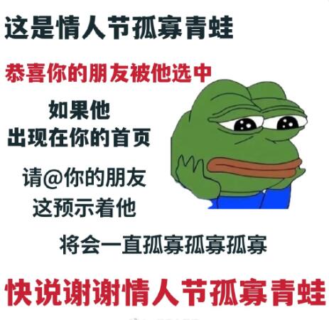 1676353532413.jpg