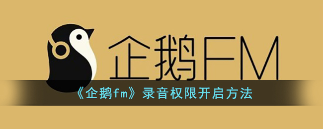 《企鹅fm》录音权限开启方法(企鹅fm录音可以赚钱吗)