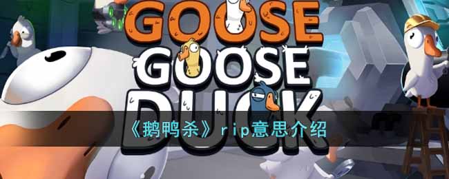 《鹅鸭杀》rip意思介绍(杀好的鹅和鸭有什么区别)