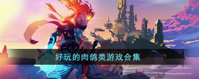 好玩的肉鸽类游戏合集(肉鸽游戏玩法)
