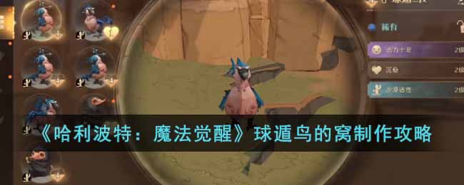 《哈利波特：魔法觉醒》球遁鸟的窝制作攻略(哈利波特魔法觉醒球遁鸟)