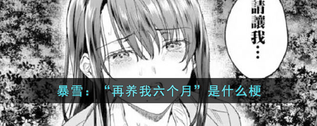 暴雪：“再养我六个月”是什么梗(暴雪公司梗)