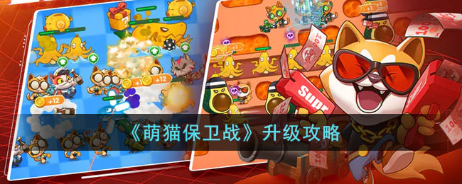 《萌猫保卫战》升级攻略(《萌猫保卫战》升级攻略图文)