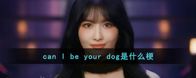 can(陈安娜)