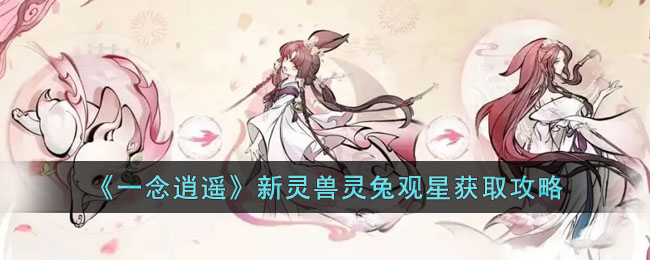《一念逍遥》新灵兽灵兔观星获取攻略(一念逍遥灵兽灵智)