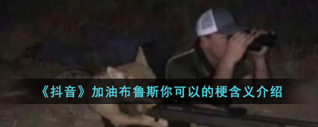 《抖音》加油布鲁斯你可以的梗含义介绍(今日宜加油分集剧情介绍)