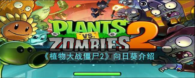 《植物大战僵尸2》向日葵介绍(向日葵介绍简短)