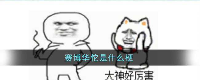 赛博华佗是什么梗(赛博华佗是什么梗)
