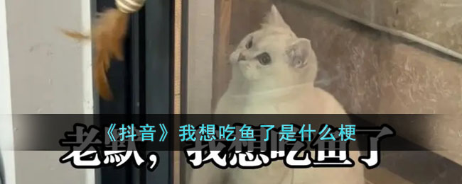 《抖音》我想吃鱼了是什么梗(狂飙老墨想吃鱼了是什么梗)
