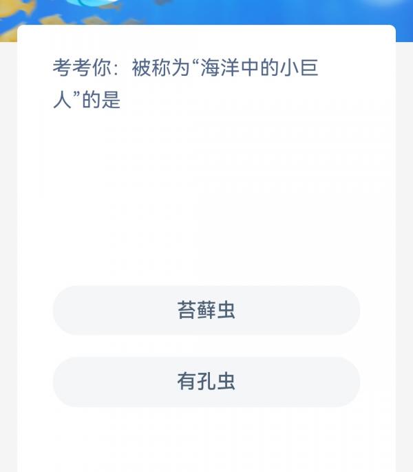 1677632788603.jpg