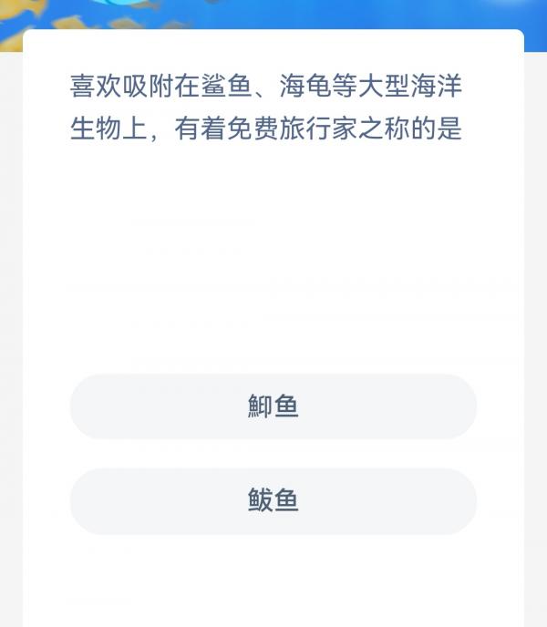 1677805541356.jpg