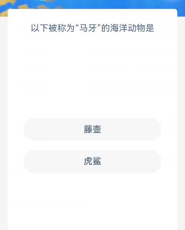 1678064449654.jpg