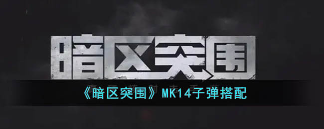 《暗区突围》MK14子弹搭配(暗区突围怎么给弹夹上子弹)