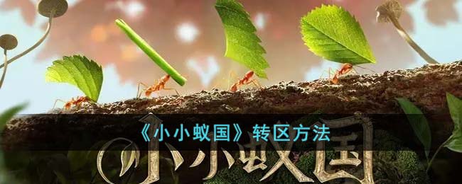 《小小蚁国》转区方法(小小蚁国转职)