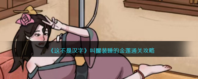 《这不是汉字》叫醒装睡的金莲通关攻略(你无法叫醒一个装睡的人经典语录)