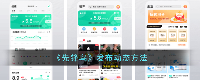 《先锋鸟》发布动态方法(whatsapp怎么发布动态)