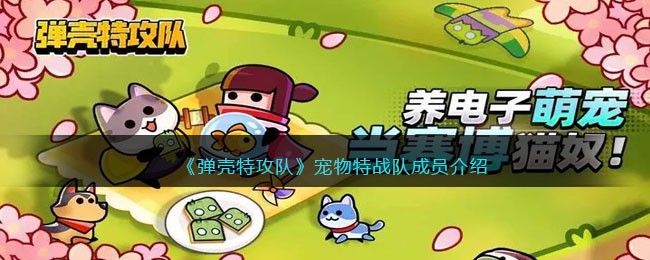 《弹壳特攻队》宠物特战队成员介绍(弹壳特攻队宠物战队报道)