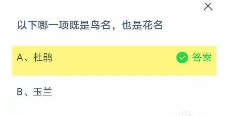 以下哪一项既是鸟名，也是花名(以下哪一项既是鸟名，也是花名)