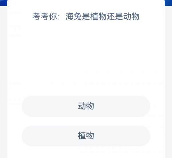 1681261399826.jpg