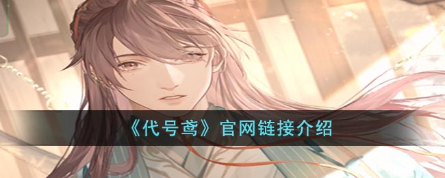 《代号鸢》官网链接介绍(代号鸢官网版下载)
