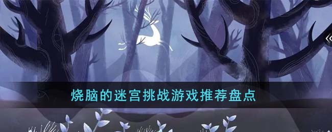 烧脑的迷宫挑战游戏推荐盘点(迷宫挑战图)