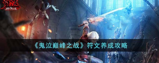 《鬼泣巅峰之战》符文养成攻略(dnf鬼泣符文选择)