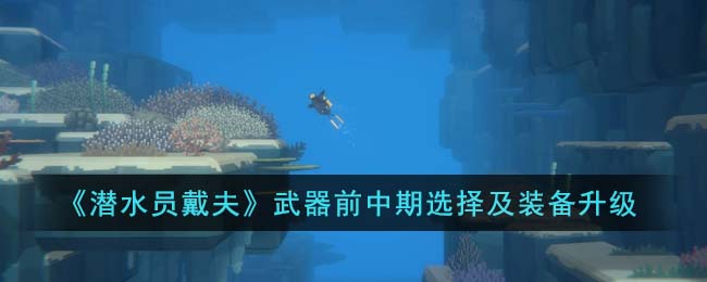 《潜水员戴夫》武器前中期选择及装备升级(潜水员的装备名称)