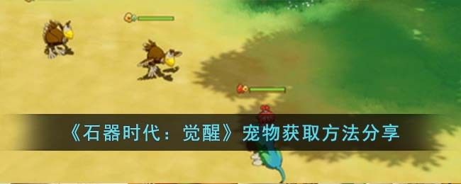 《石器时代：觉醒》宠物获取方法分享(石器时代手游宠物搭配攻略)