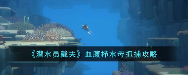 《潜水员戴夫》血腹栉水母抓捕攻略(潜水员戴夫)