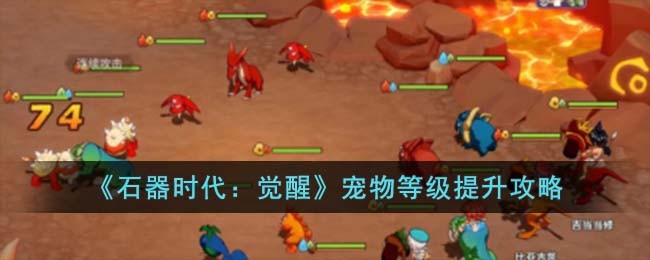 《石器时代：觉醒》宠物等级提升攻略(《石器时代：觉醒》宠物等级提升攻略)