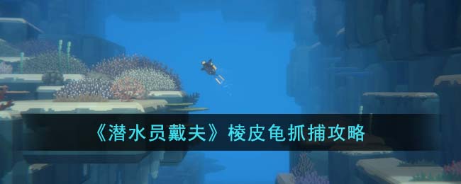 《潜水员戴夫》棱皮龟抓捕攻略(《潜水员戴夫》棱皮龟抓捕攻略)