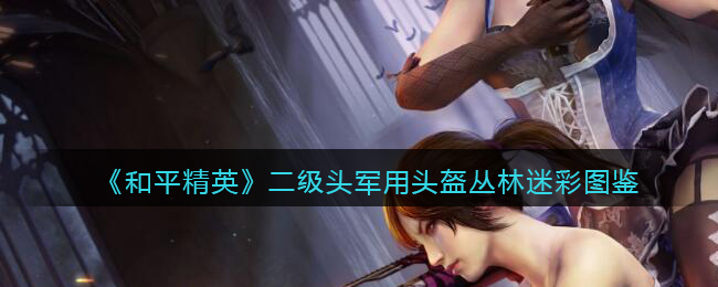 《和平精英》二级头军用头盔丛林迷彩图鉴(和平精英怎么不显示头盔)