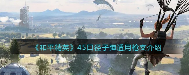 《和平精英》45口径子弹适用枪支介绍(和平精英怎么在团队竞技让子弹变多)