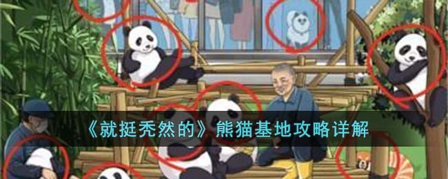 《就挺秃然的》熊猫基地攻略详解(就挺秃然的攻略滋啵烧烤)
