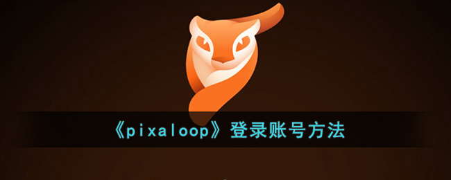 《pixaloop》登录账号方法(pixaloop是什么软件)