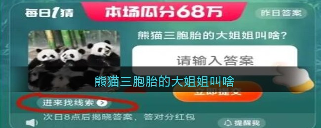 熊猫三胞胎的大姐姐叫啥(熊猫三胞胎的大姐姐叫啥)