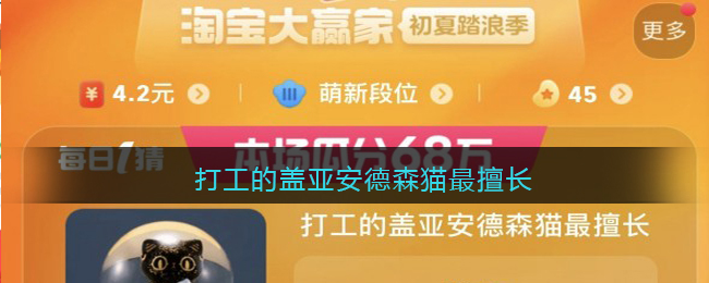 打工的盖亚安德森猫最擅长(打工的盖亚安德森猫最擅长什么)