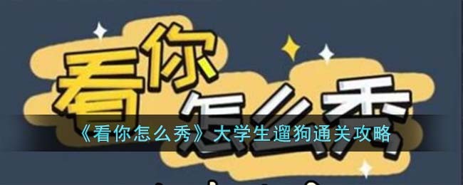 《看你怎么秀》大学生遛狗通关攻略(看你怎么玩)