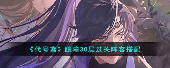 《代号鸢》臆障30层过关阵容搭配(《代号鸢》臆障30层过关阵容搭配)