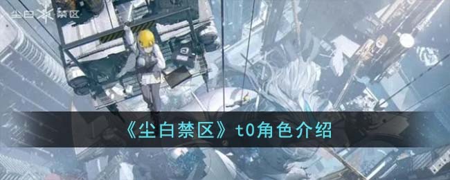 《尘白禁区》t0角色介绍(尘白禁区角色搭配)