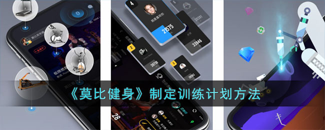 《莫比健身》制定训练计划方法