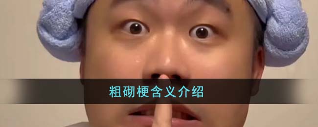 粗砌梗含义介绍(粗砌梗含义介绍)