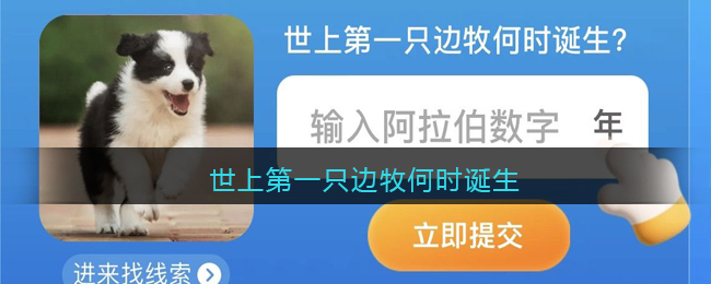 世上第一只边牧何时诞生(世上第一只边牧何时诞生淘宝每日一猜)