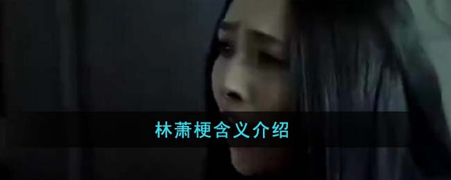 林萧梗含义介绍(林萧是出自哪本小说)