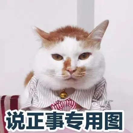 gap  day含义介绍
