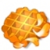 1691379836756414.jpg